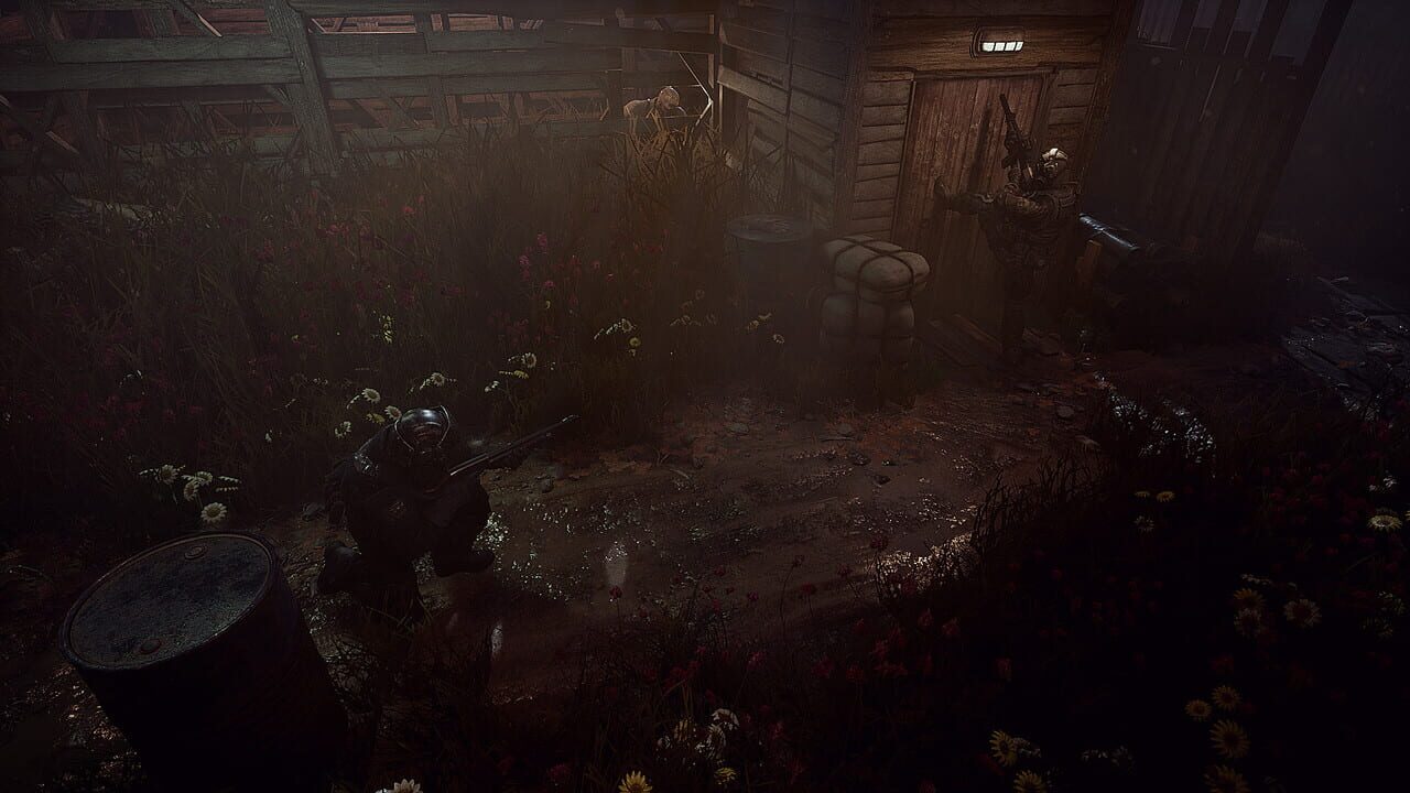 Carnival Hunt screenshot