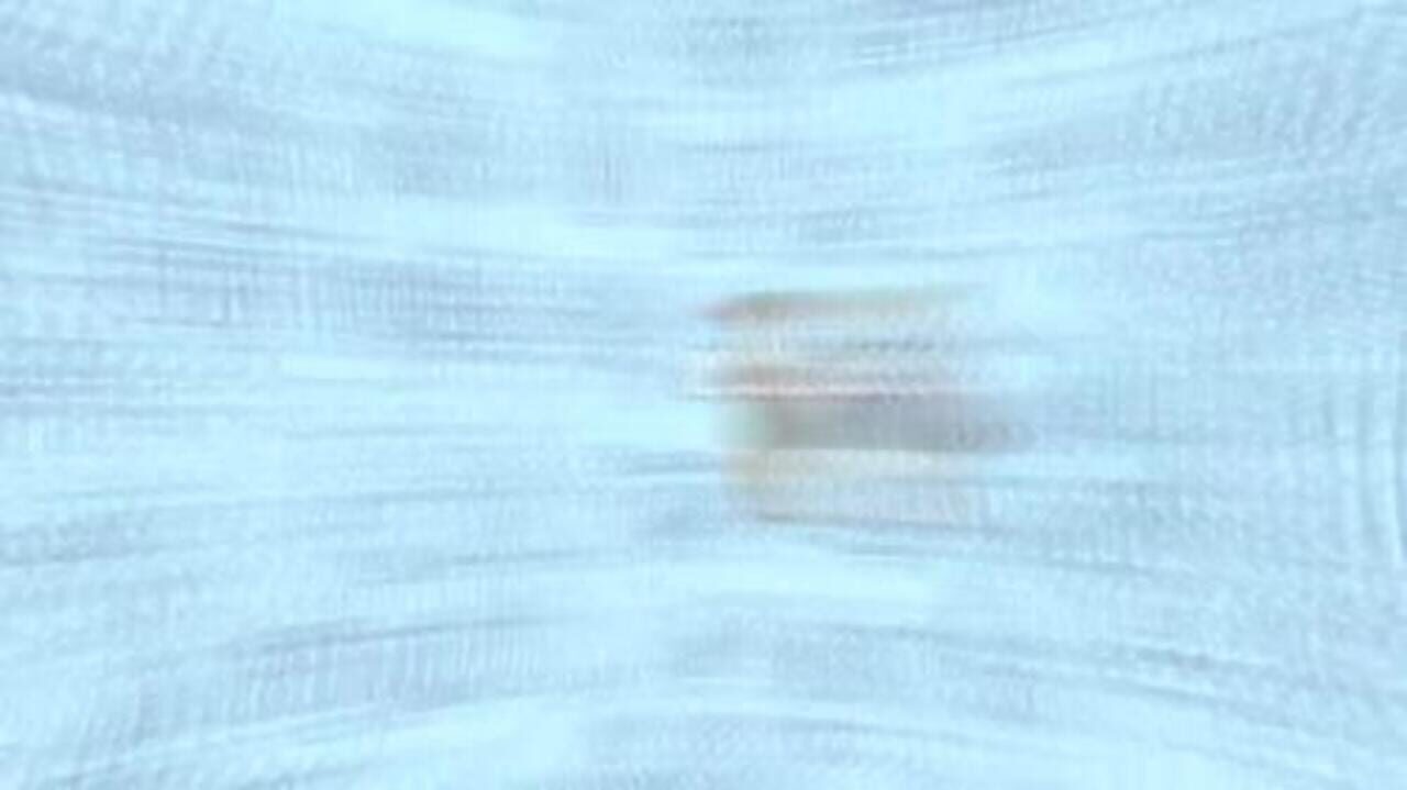 Meow Moments: Celebrating Myth & Machine screenshot